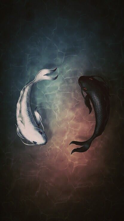 Detail Yin Yang Fish Wallpaper Nomer 8