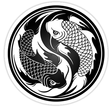 Detail Yin Yang Ikan Koi Nomer 16