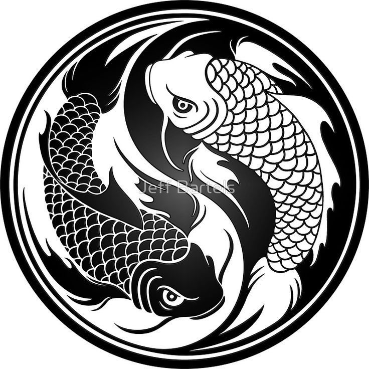 Detail Yin Yang Ikan Koi Nomer 6