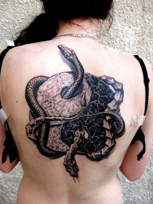 Detail Yin Yang Turtle Tattoo Meaning Nomer 28