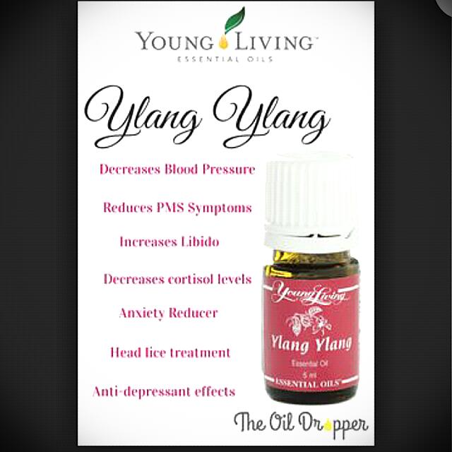 Detail Ylang Ylang Young Living Nomer 40