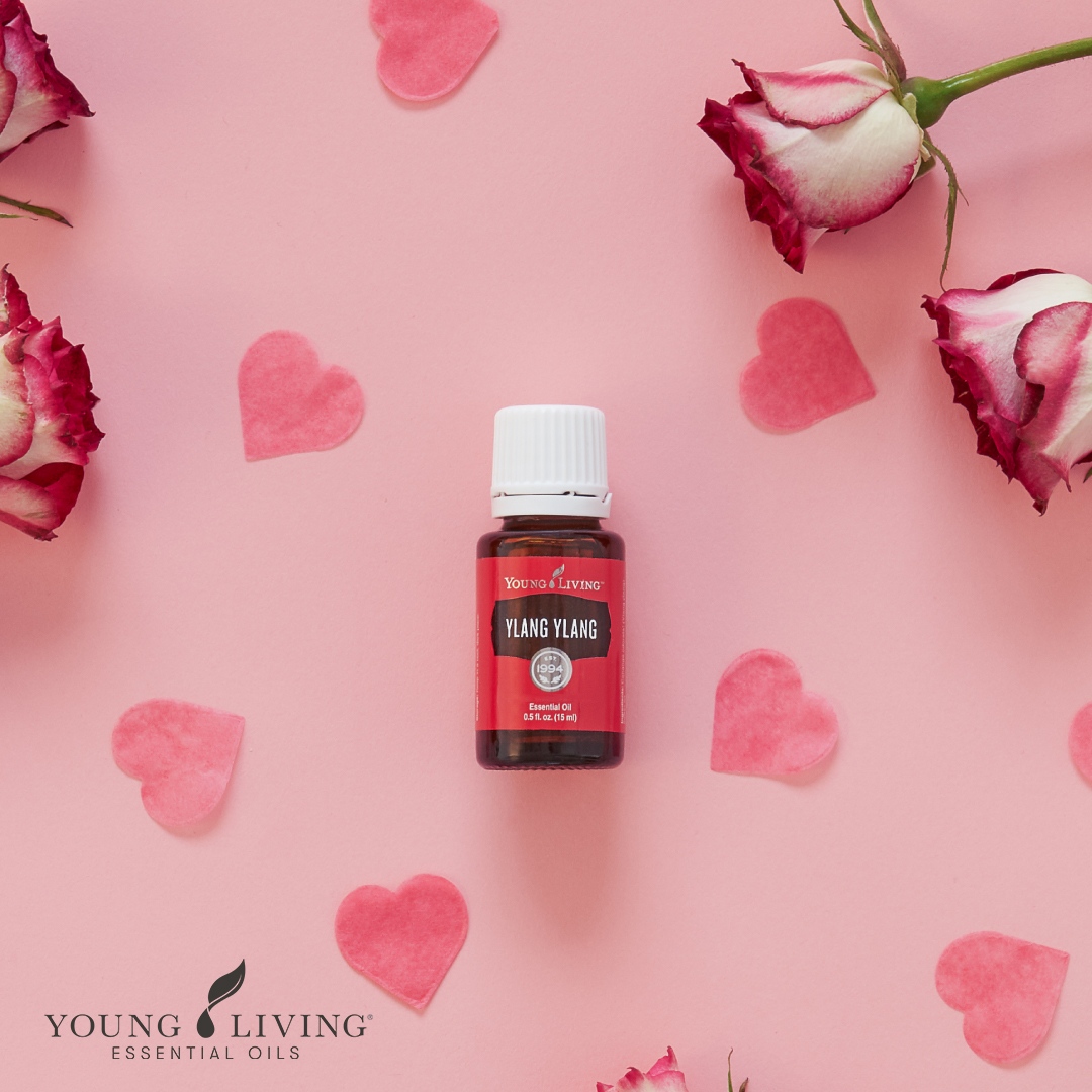 Detail Ylang Ylang Young Living Nomer 41