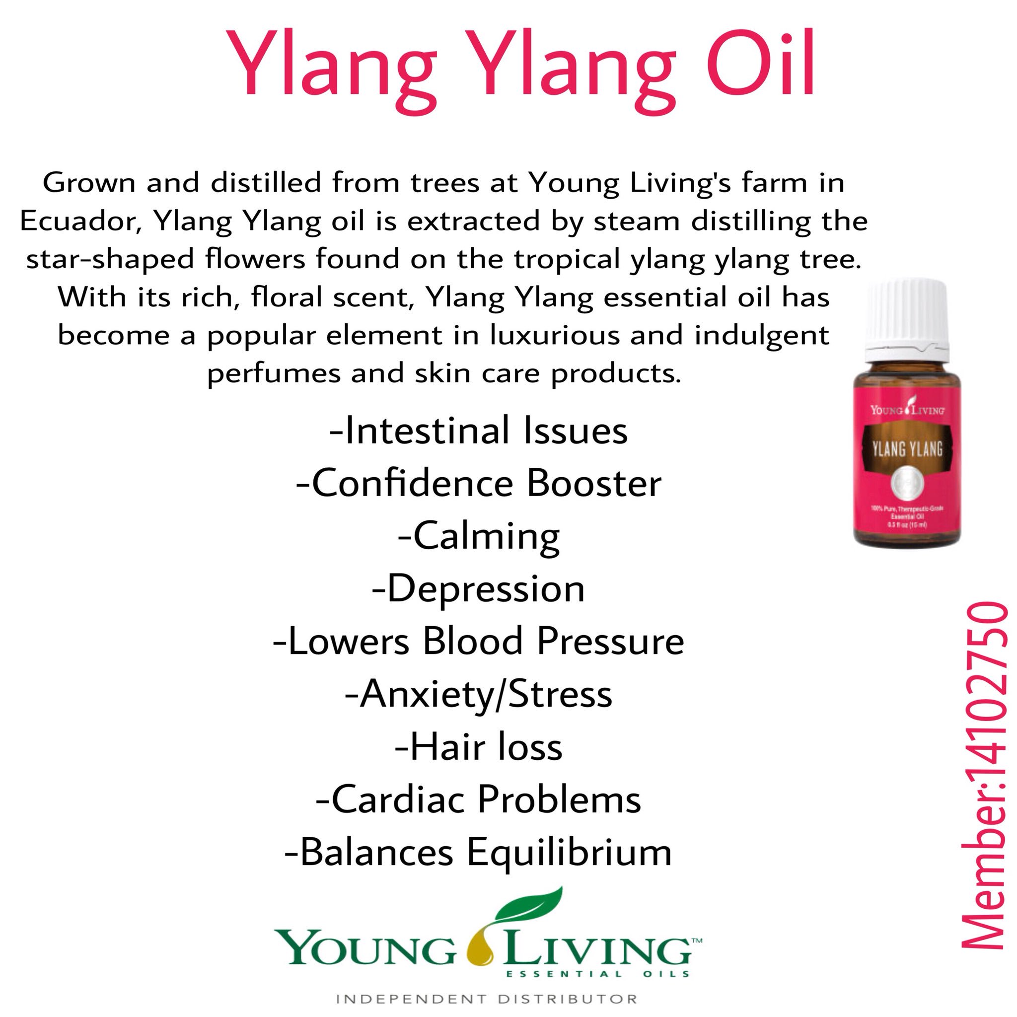 Detail Ylang Ylang Young Living Nomer 50