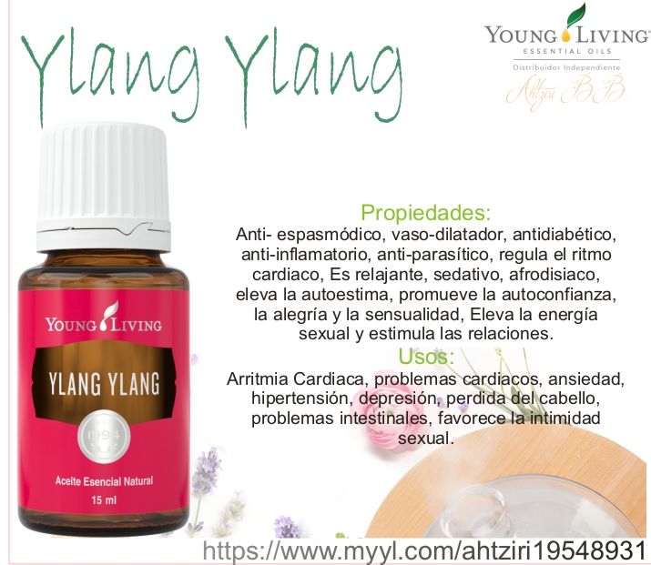 Detail Ylang Ylang Young Living Nomer 55