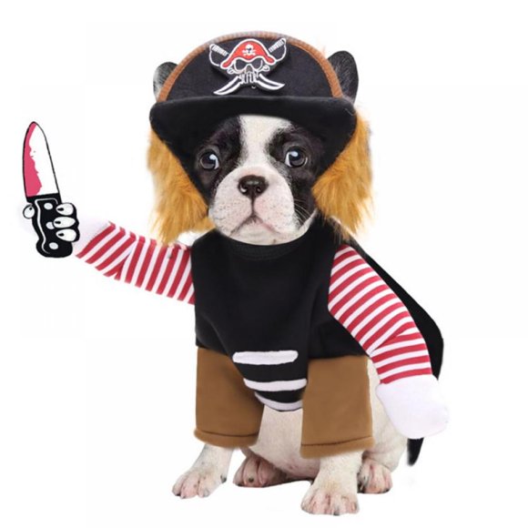 Detail Yogurt The Pirate Dog Nomer 55