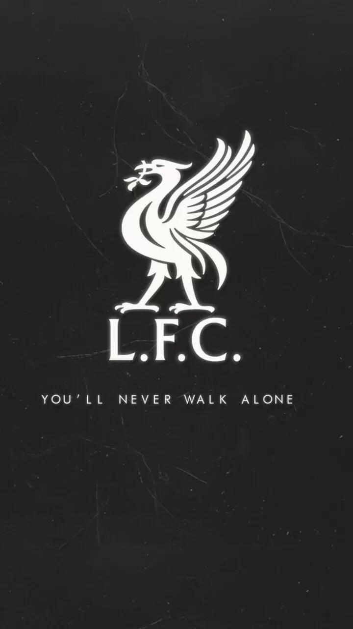 Detail You Ll Never Walk Alone Wallpaper Nomer 16