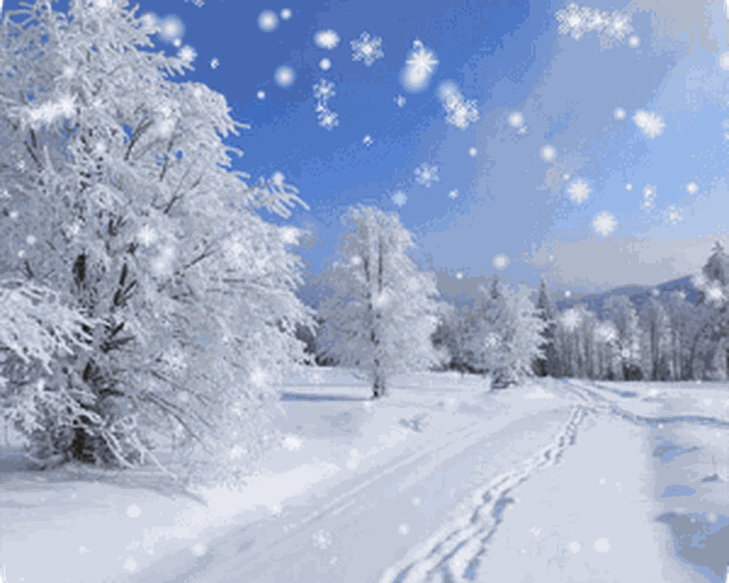 Detail Snow Live Wallpaper Nomer 47