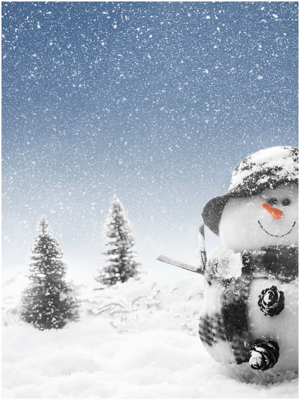 Detail Snow Live Wallpaper Nomer 49