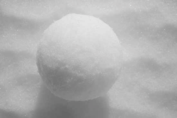 Detail Snowball Image Nomer 3