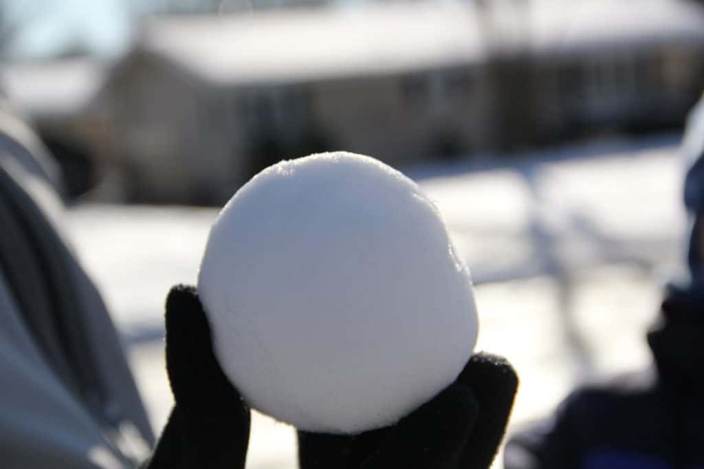 Detail Snowball Image Nomer 24