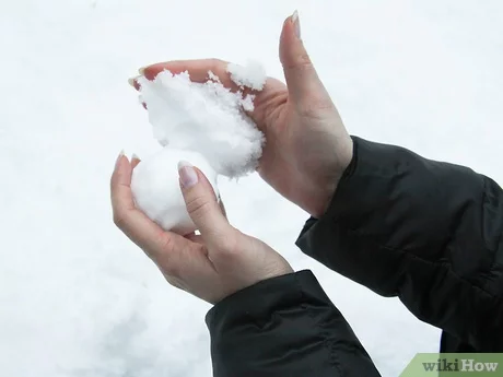 Detail Snowball Images Nomer 53