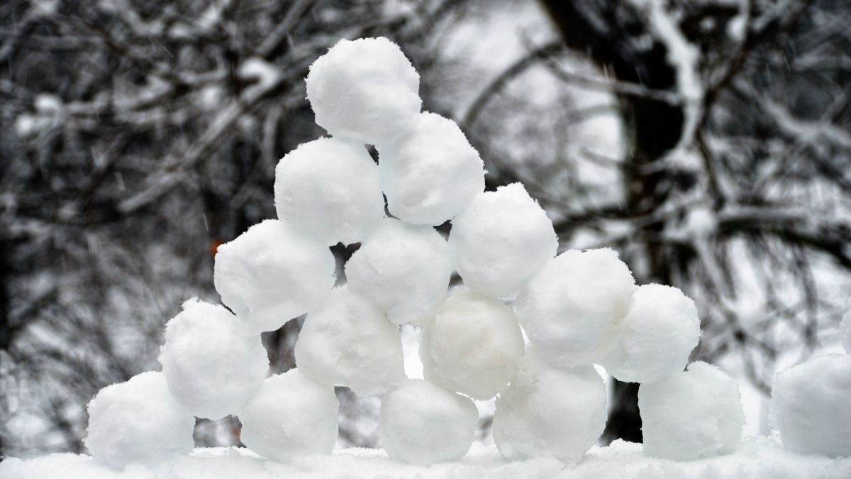 Detail Snowballs Pictures Nomer 2