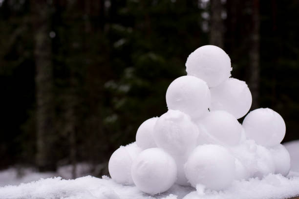 Detail Snowballs Pictures Nomer 3