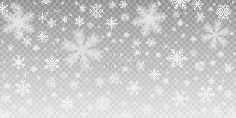 Snowflake Background Transparent - KibrisPDR