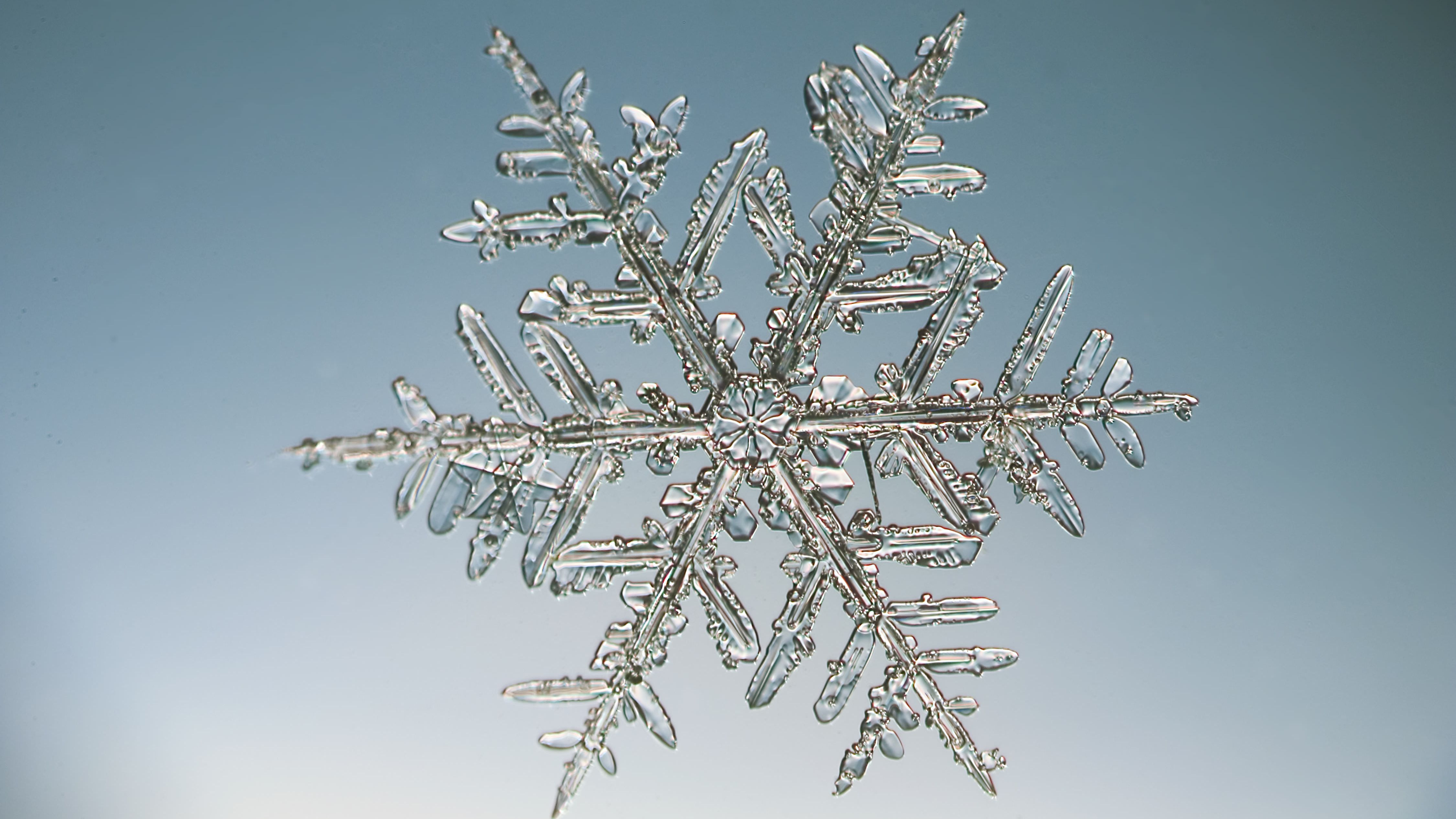 Detail Snowflake Image Nomer 16