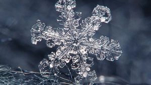 Detail Snowflake Image Nomer 17