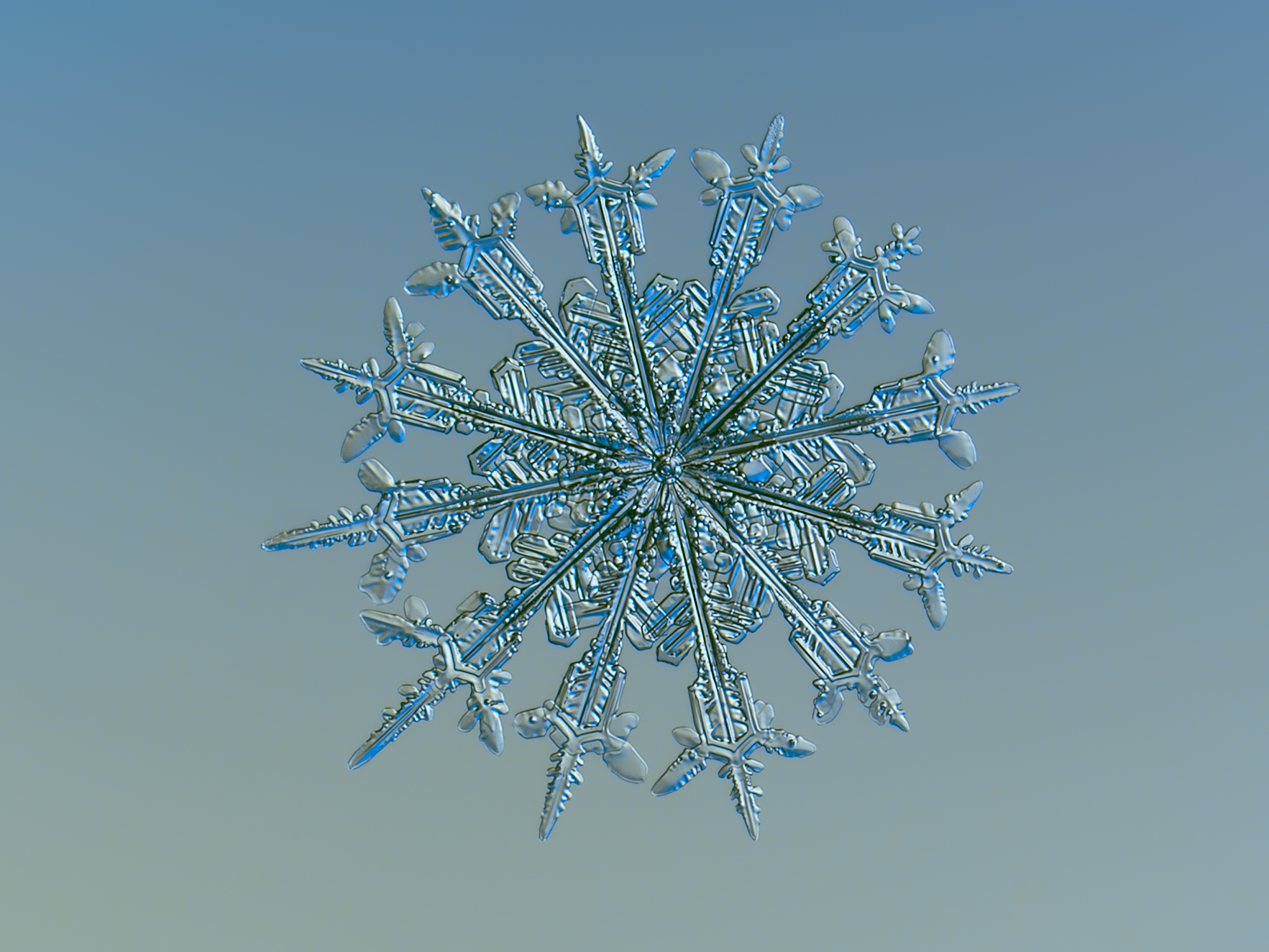 Detail Snowflake Image Nomer 33