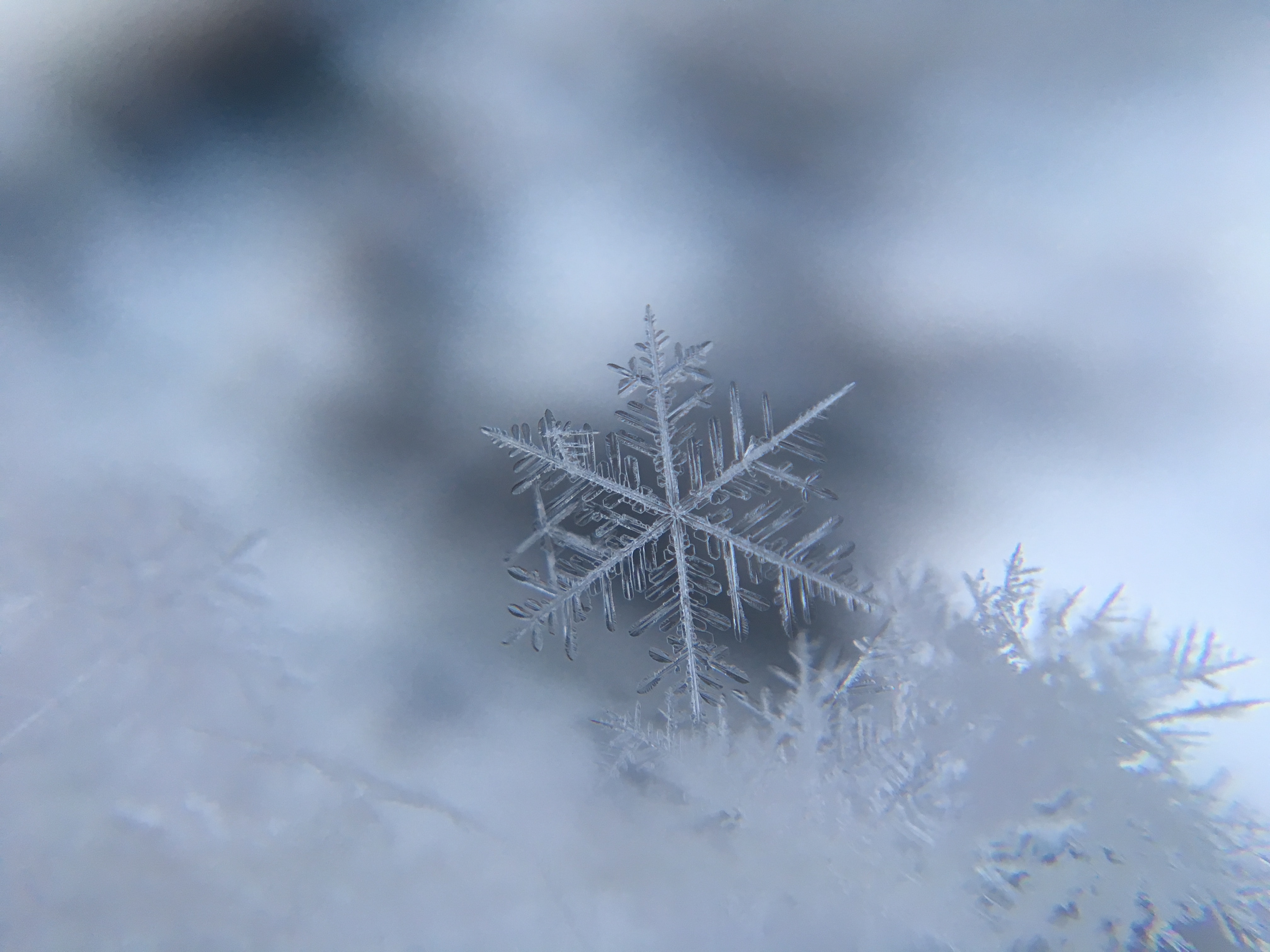 Detail Snowflake Image Nomer 53