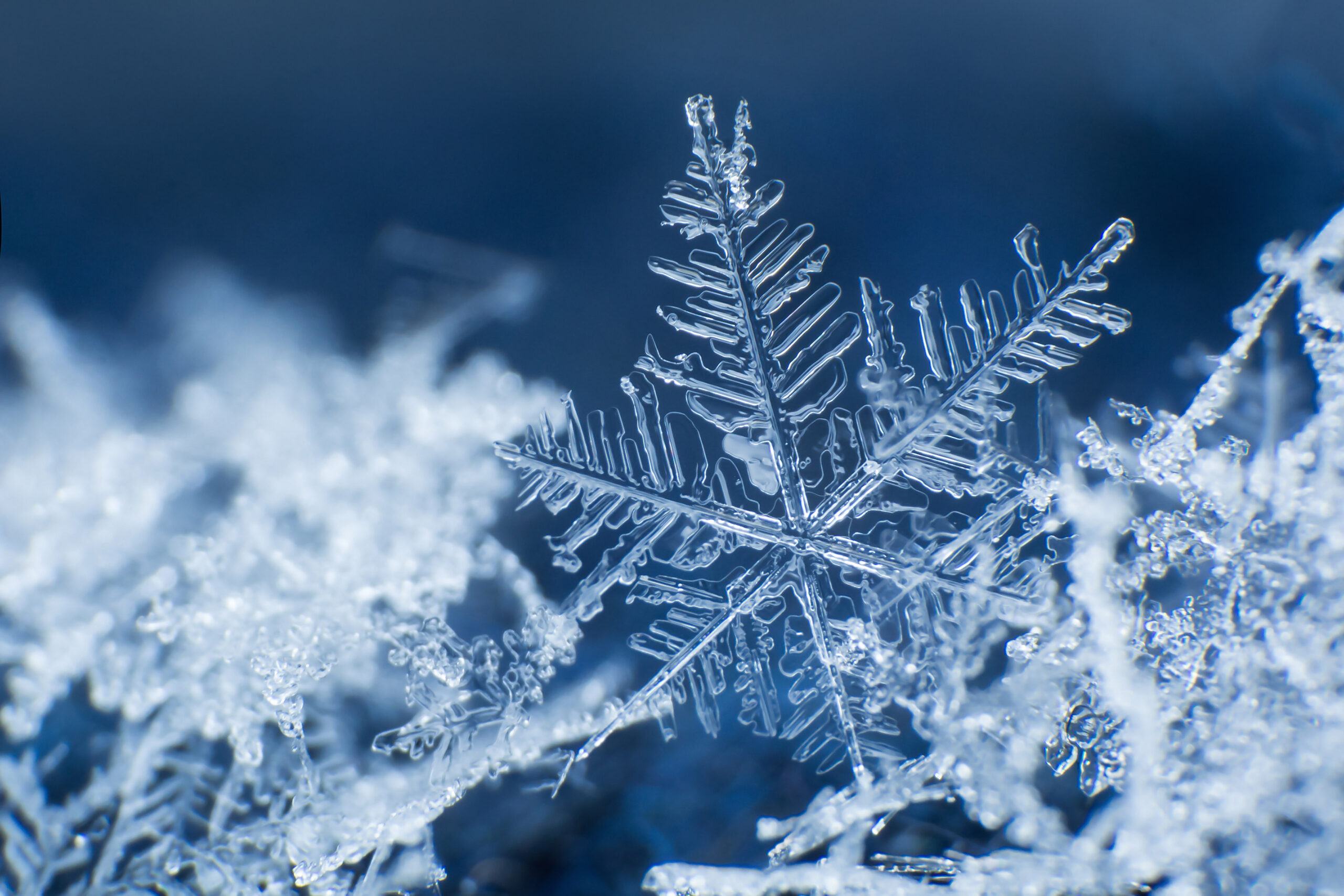Detail Snowflake Image Nomer 8