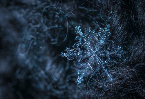 Detail Snowflake Image Free Nomer 11