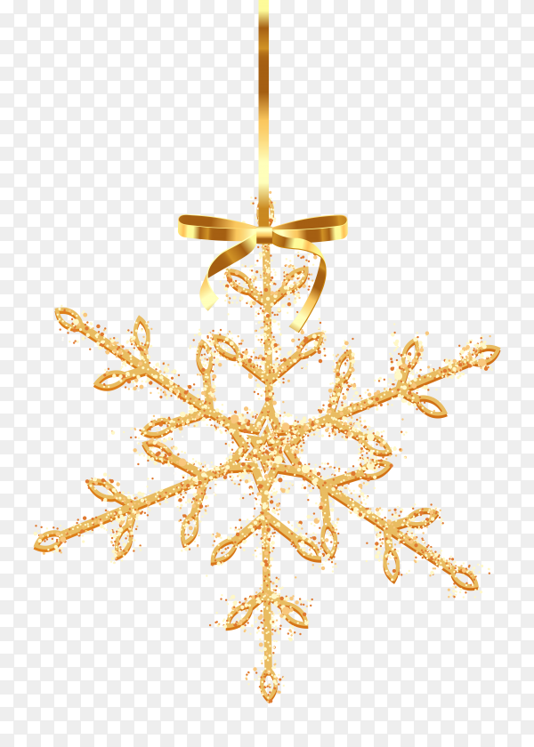 Detail Snowflake Image Transparent Background Nomer 49