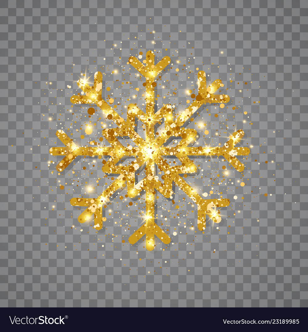 Detail Snowflake Image Transparent Background Nomer 51