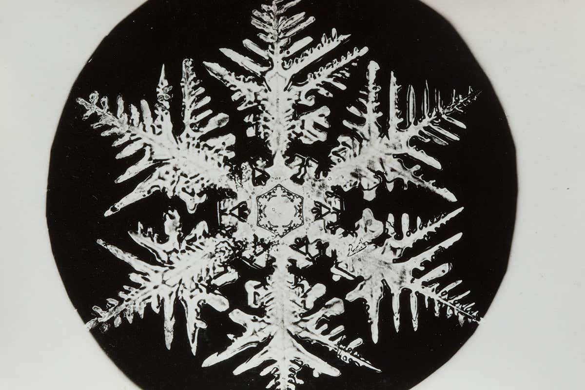 Detail Snowflake Images Nomer 18