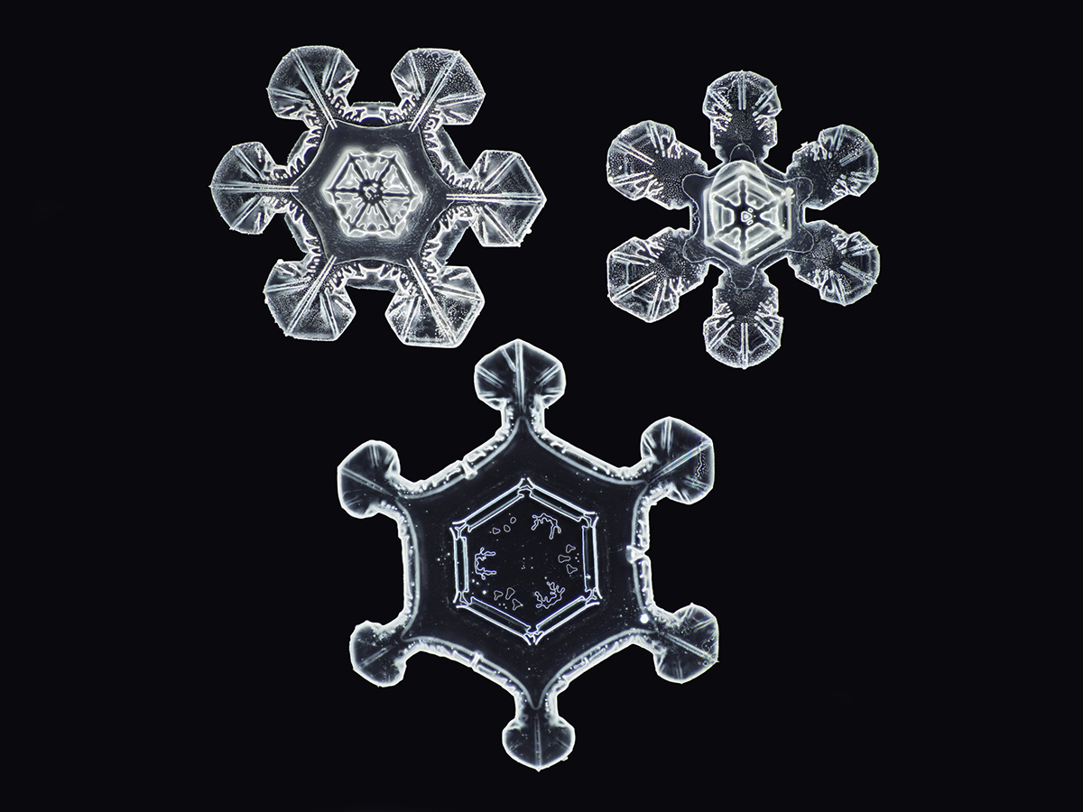 Detail Snowflake Images Nomer 44