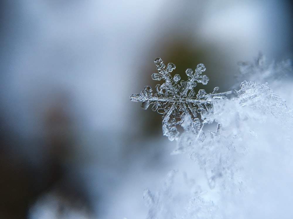 Detail Snowflake Images Free Download Nomer 2