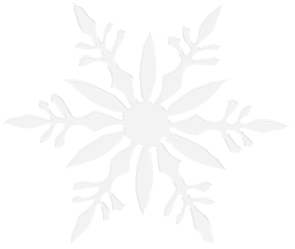 Detail Snowflake Ong Nomer 17