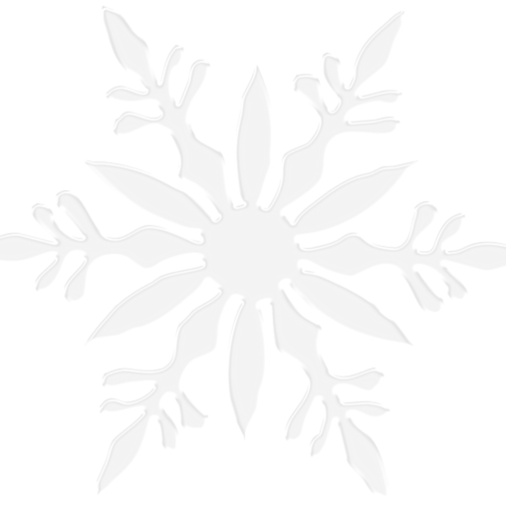 Detail Snowflake Ong Nomer 23