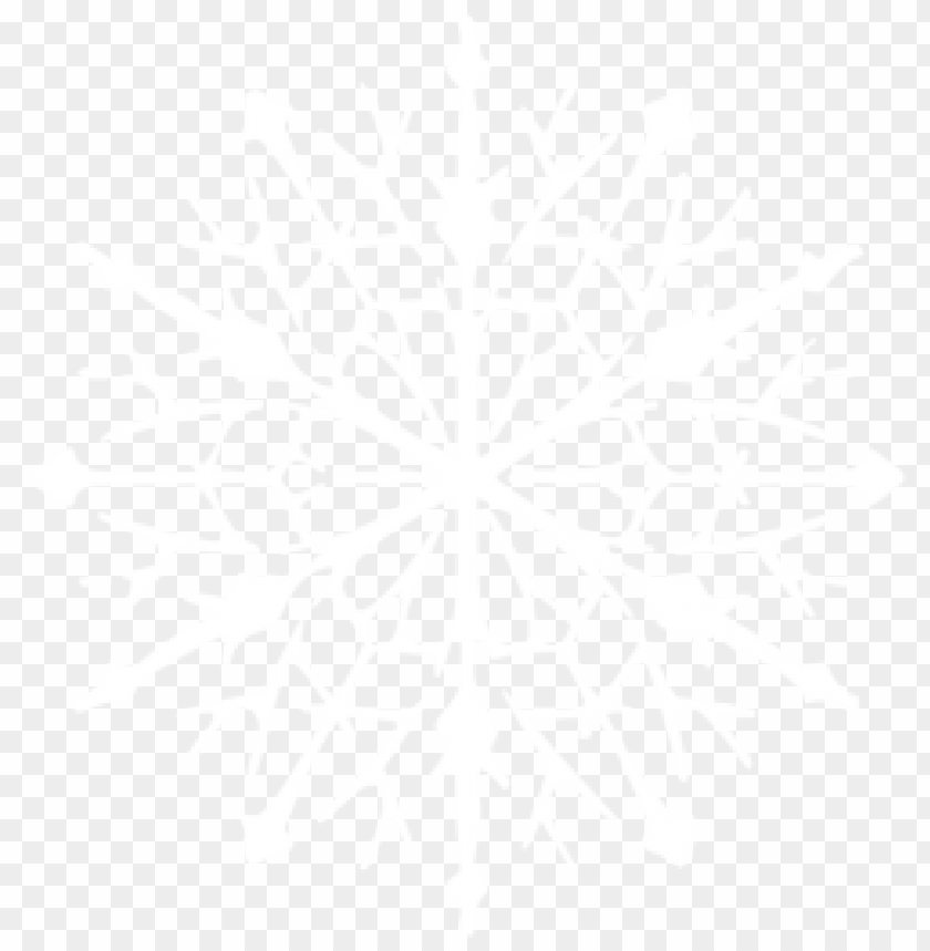 Detail Snowflake Ong Nomer 38