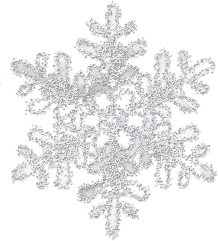 Detail Snowflake Ong Nomer 55