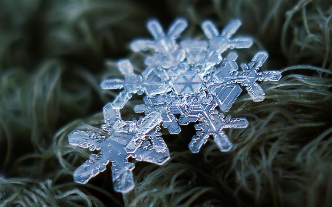 Detail Snowflake Pic Nomer 47