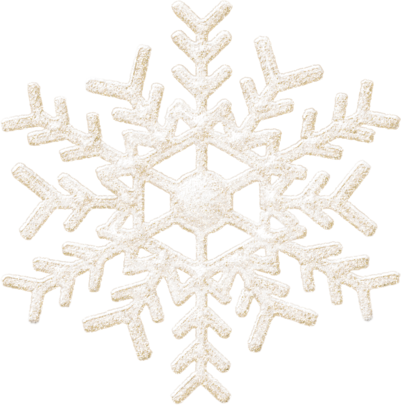 Detail Snowflake Png Nomer 15