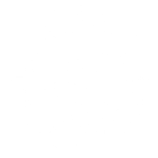 Detail Snowflake Png Nomer 50
