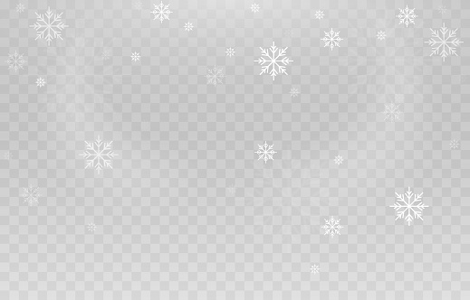 Detail Snowflake Png Vector Nomer 17