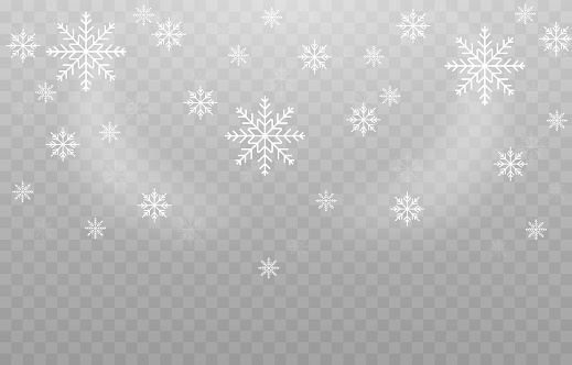 Detail Snowflake Png Vector Nomer 51