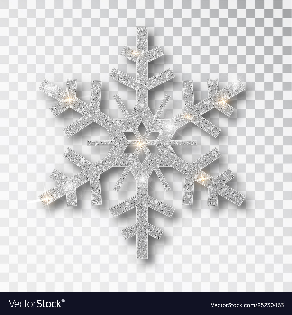 Detail Snowflake Transparent Nomer 11