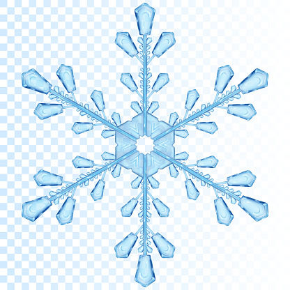 Detail Snowflake Transparent Nomer 12