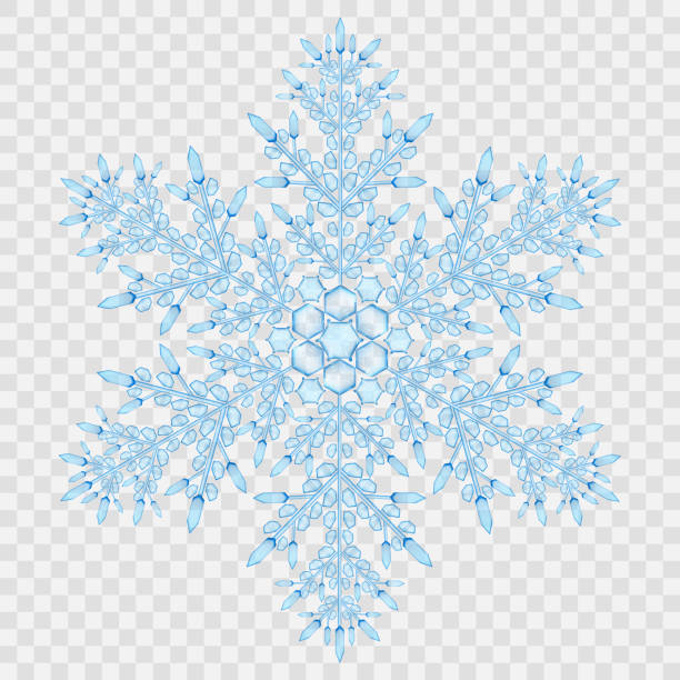 Detail Snowflake Transparent Nomer 24