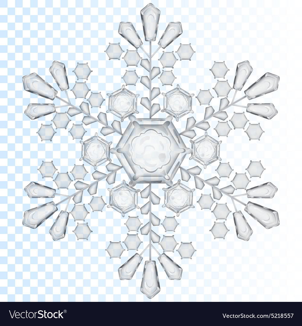 Detail Snowflake Transparent Nomer 42