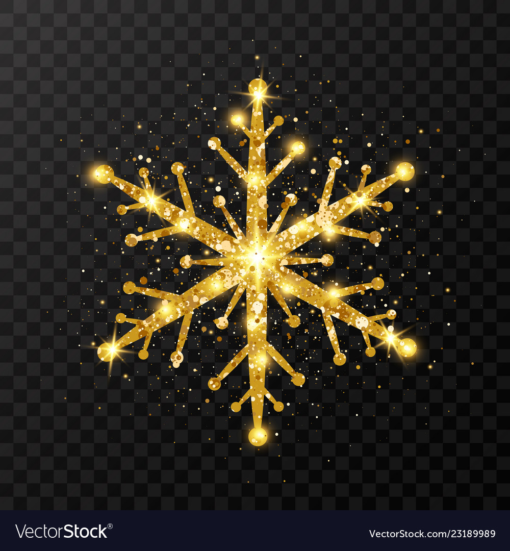 Detail Snowflake Transparent Background Nomer 53