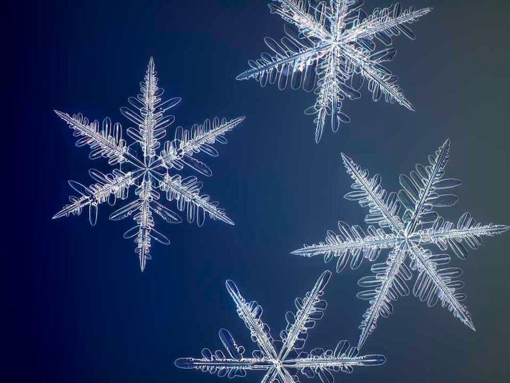 Download Snowflakes Image Nomer 2