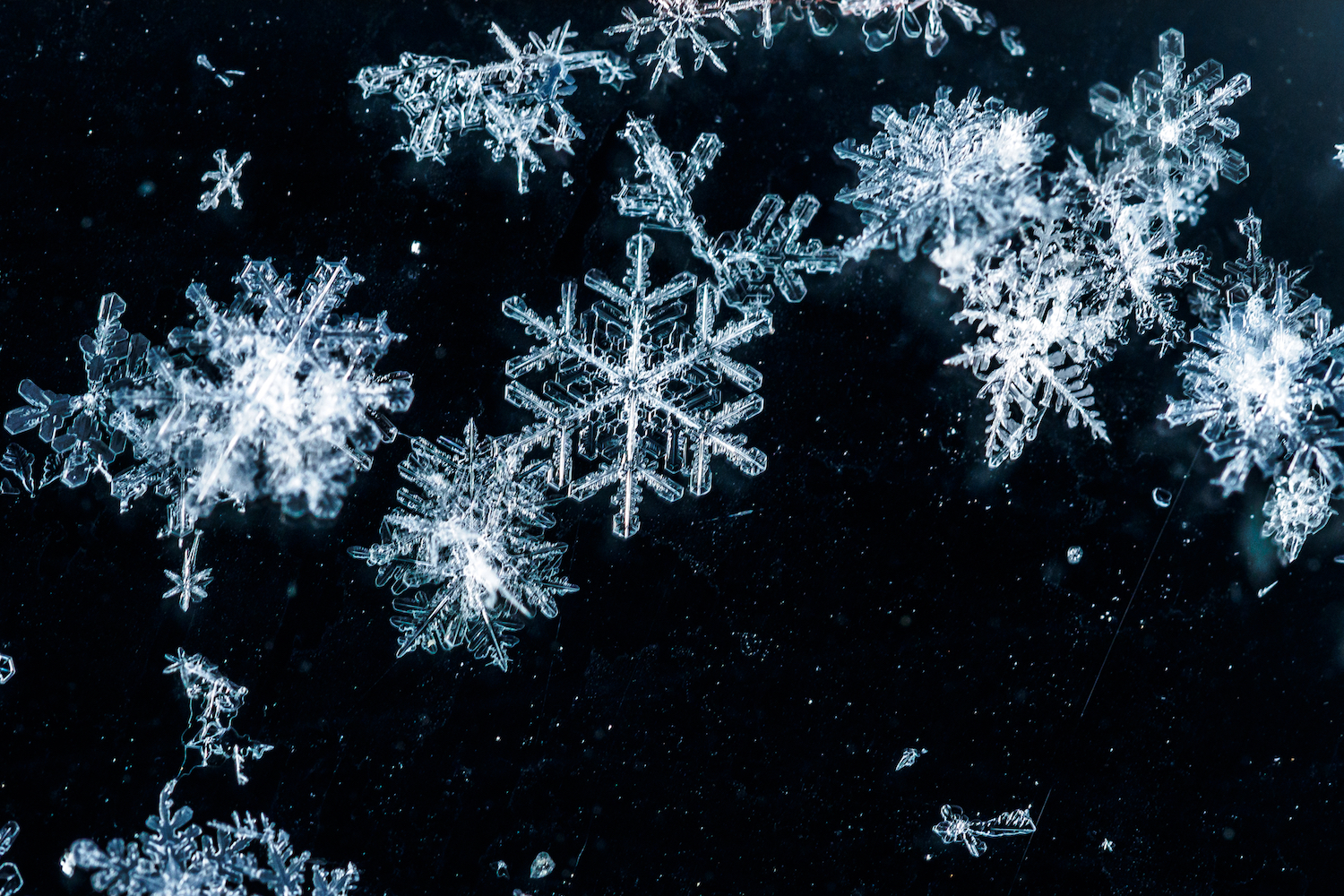 Detail Snowflakes Image Nomer 14