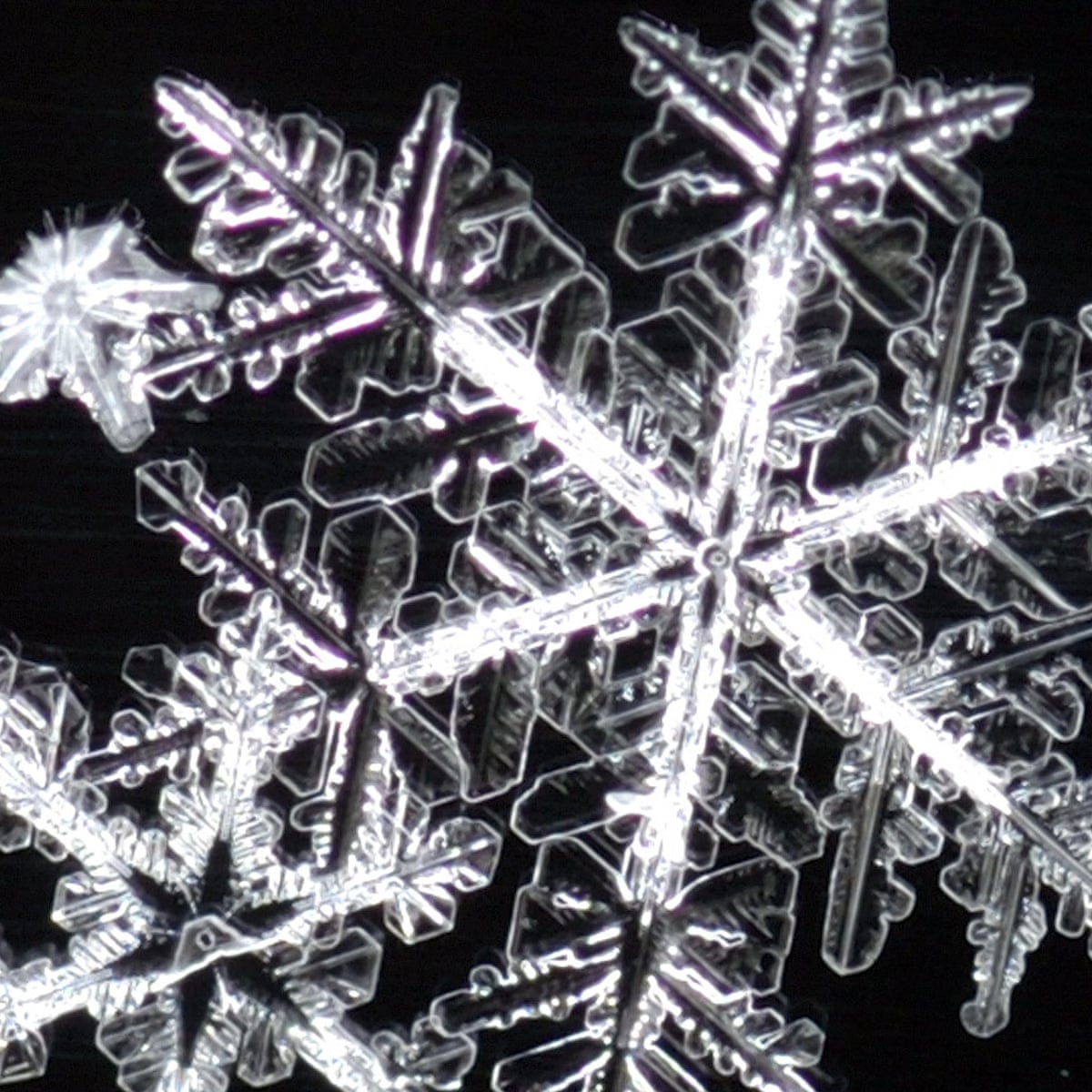 Detail Snowflakes Image Nomer 22