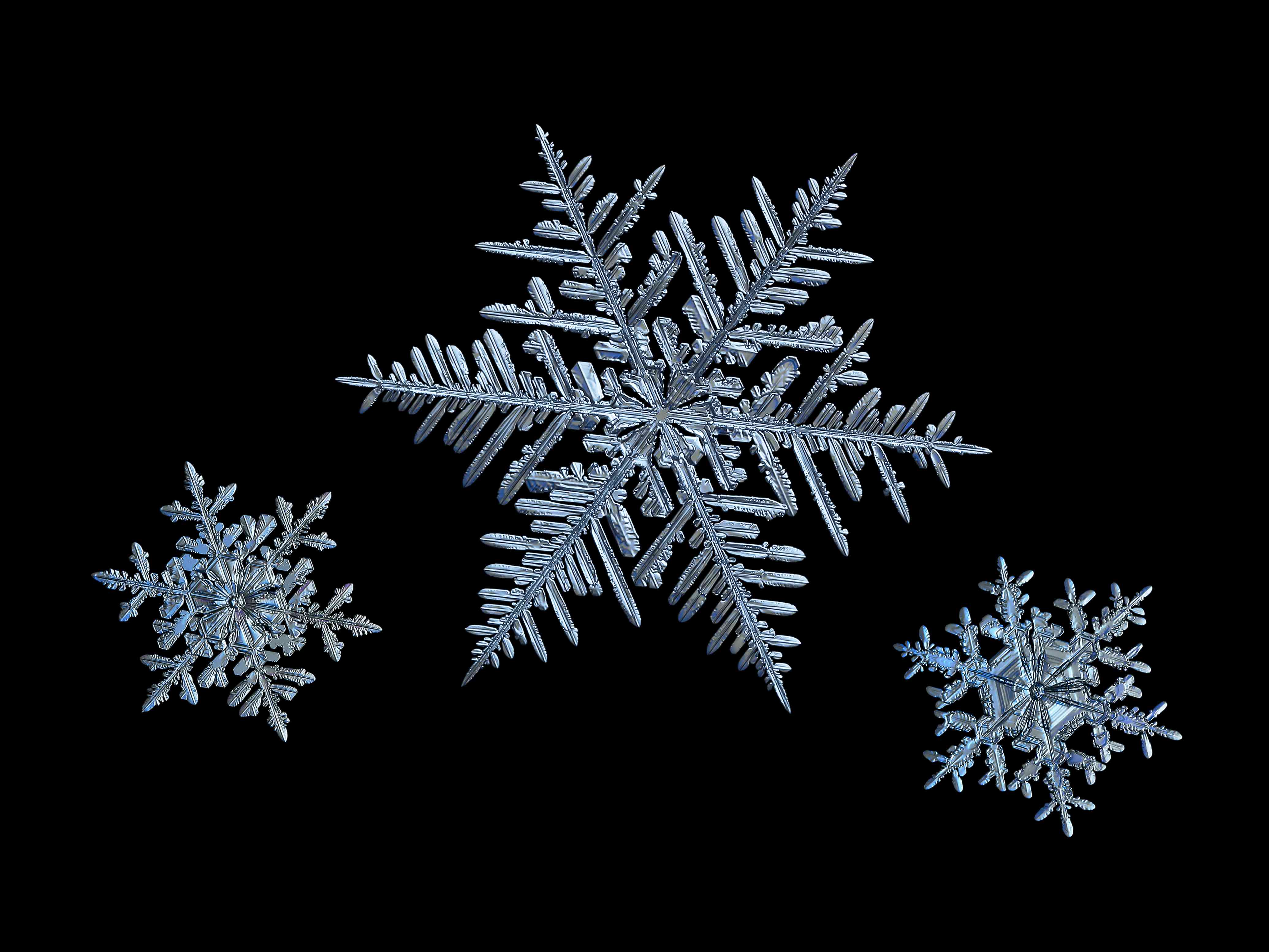 Detail Snowflakes Image Nomer 6