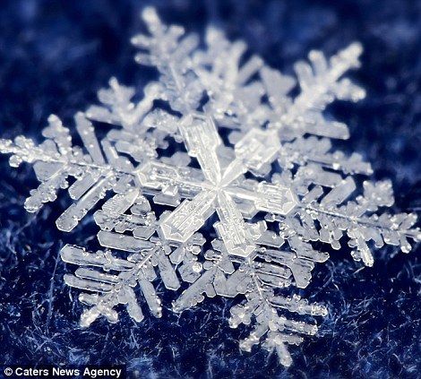 Detail Snowflakes Image Nomer 43