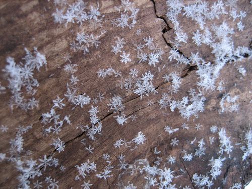 Detail Snowflakes Pics Nomer 39