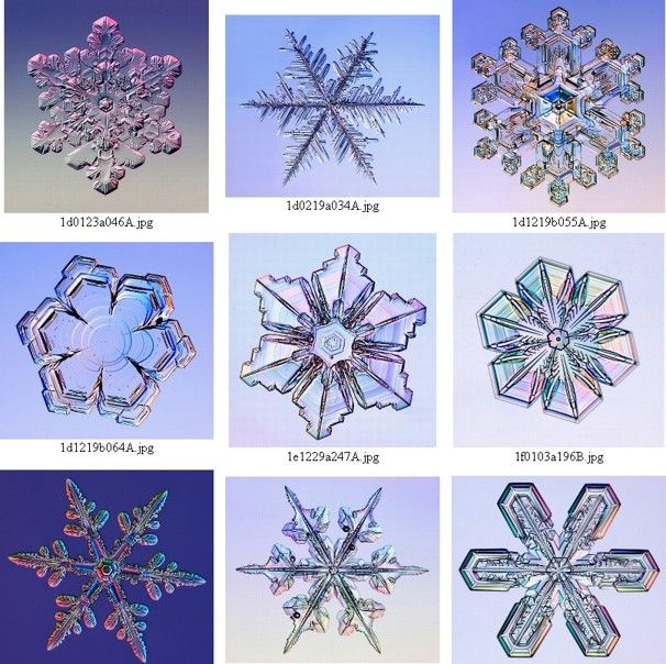 Snowflakes Under A Microscope Pictures - KibrisPDR